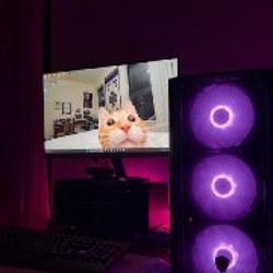 Монитор HP 24” - фото 1