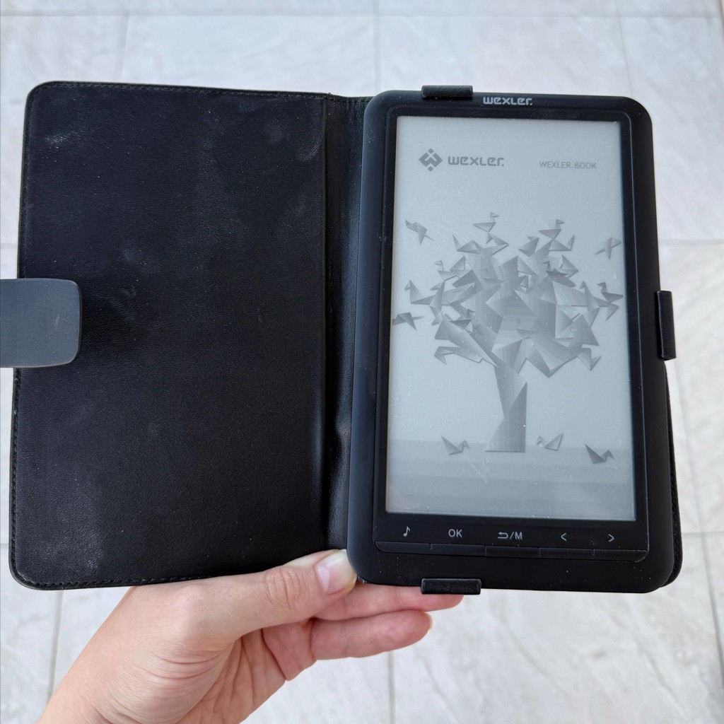 Электронная книга Weltex