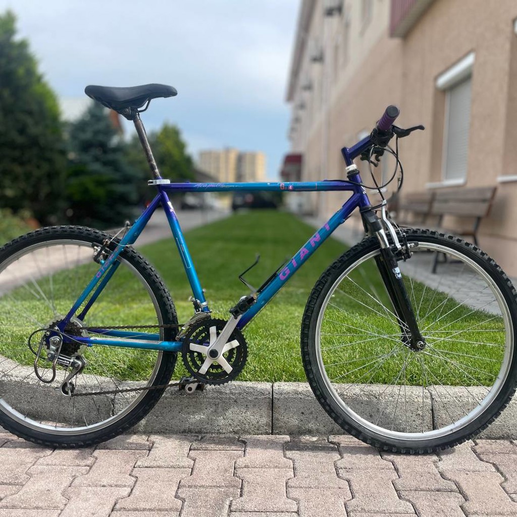 Giant Bike