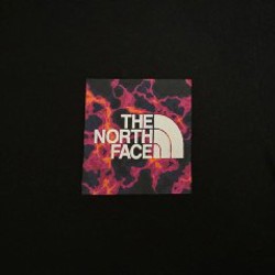 Футболка The North Face - фото 2