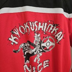 Олимпийка Umbro × Kyokushinkai Karate - фото 5