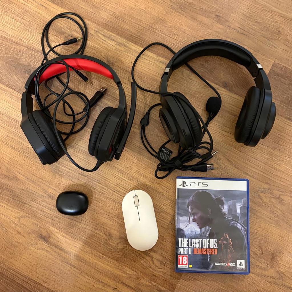 The Last of Us Part II