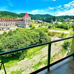 3-комн квартира в Бакуриани - фото 2