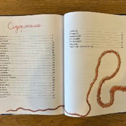 Книга чудУЛИищ - фото 2