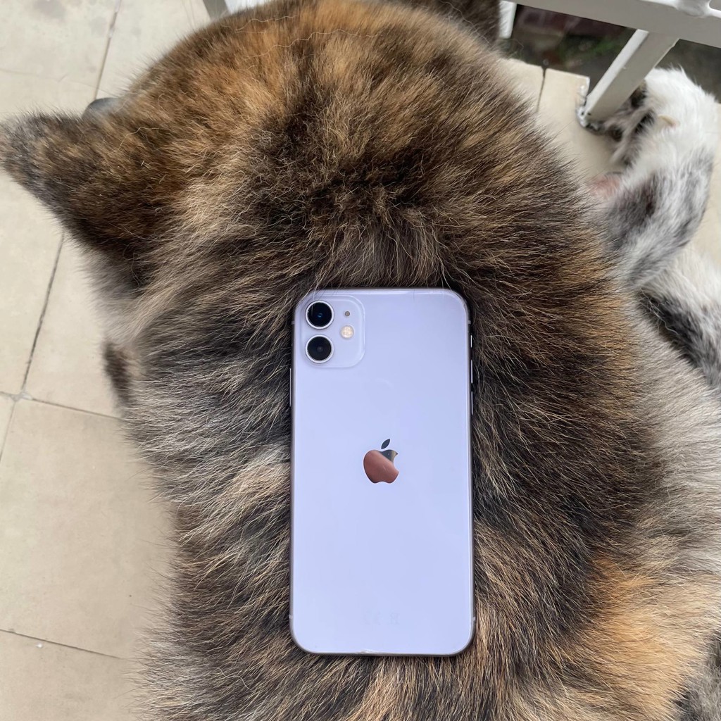 IPhone 11