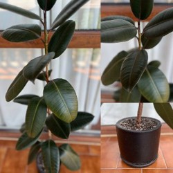 Подставка для ноутбука - фото 8