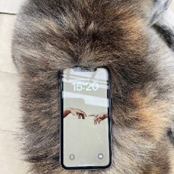 IPhone 11 - фото 2