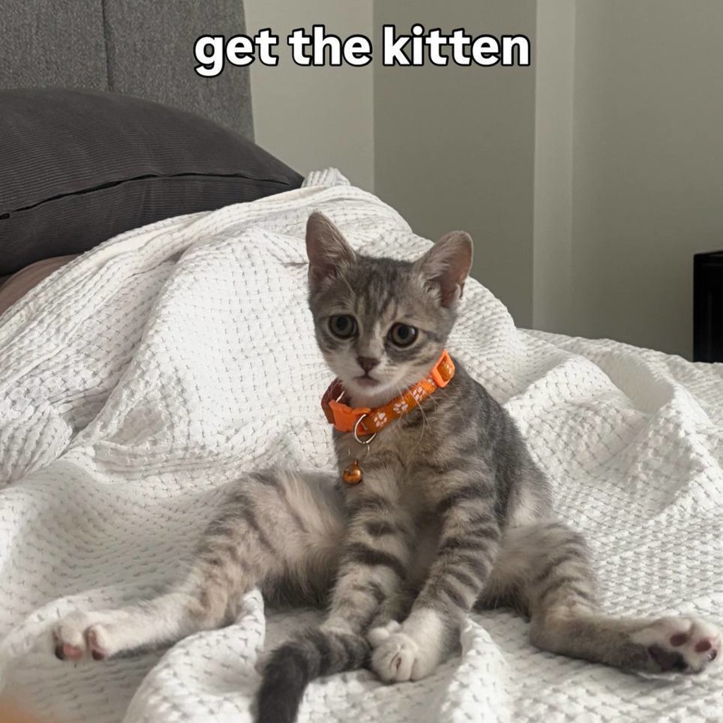 Кошечка