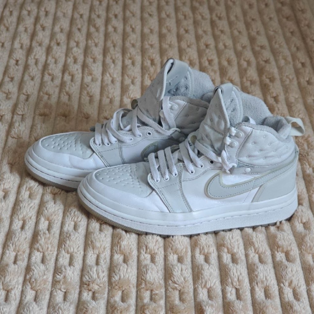 Nike Air Jordan 1 Acclimate
