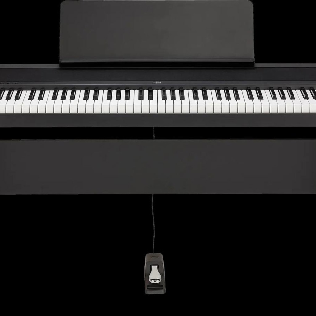Korg B2N