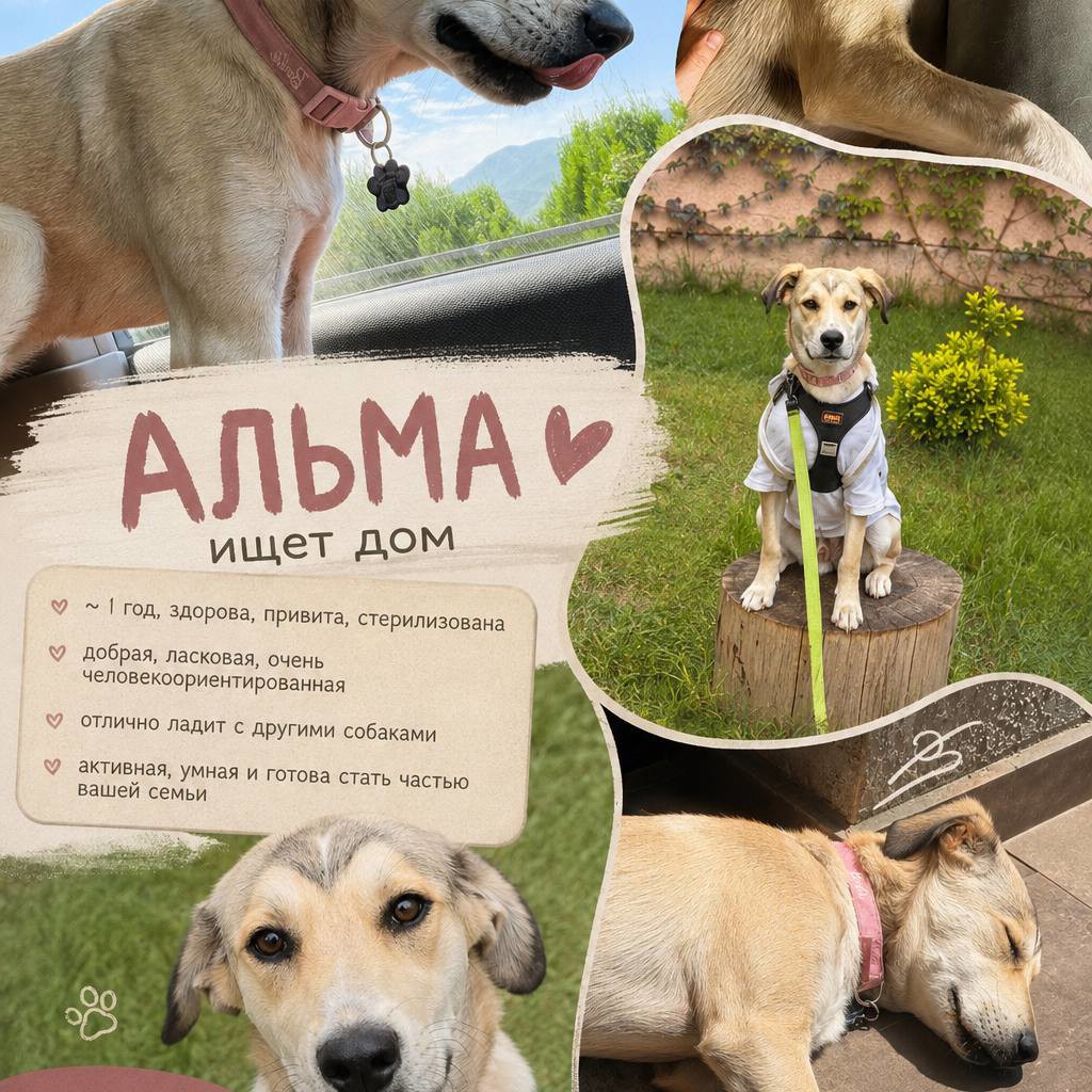 Альма