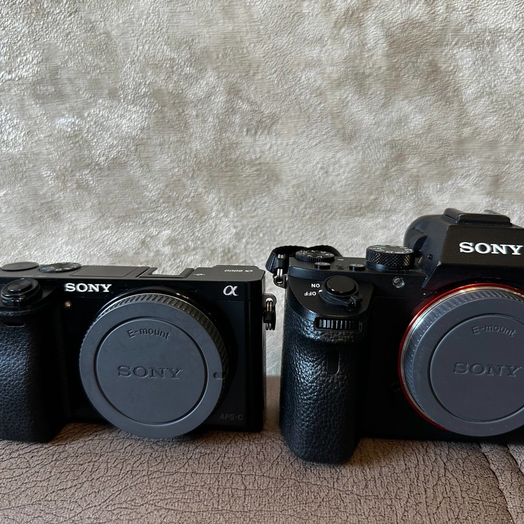 Sony a6000