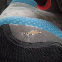Автокресло RECARO Monza Nova 2 Seatfix - фото 2