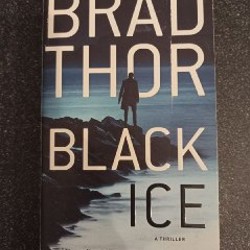 Black Ice - фото 2