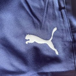 Брюки Puma teamLIGA Sideline Pants - фото 4