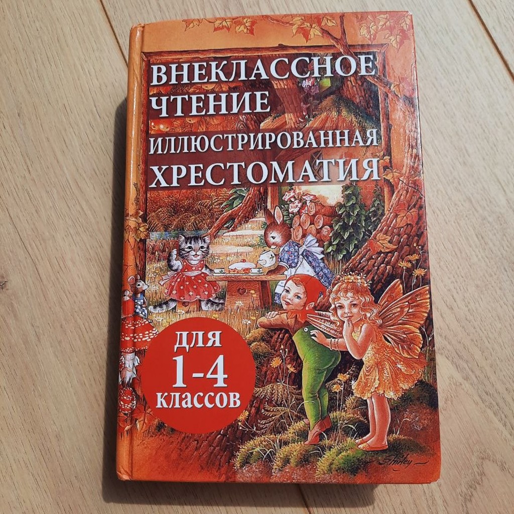 Книга по внеклассному чтению
