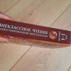 Книга по внеклассному чтению - фото 3