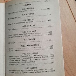 Книга по внеклассному чтению - фото 8