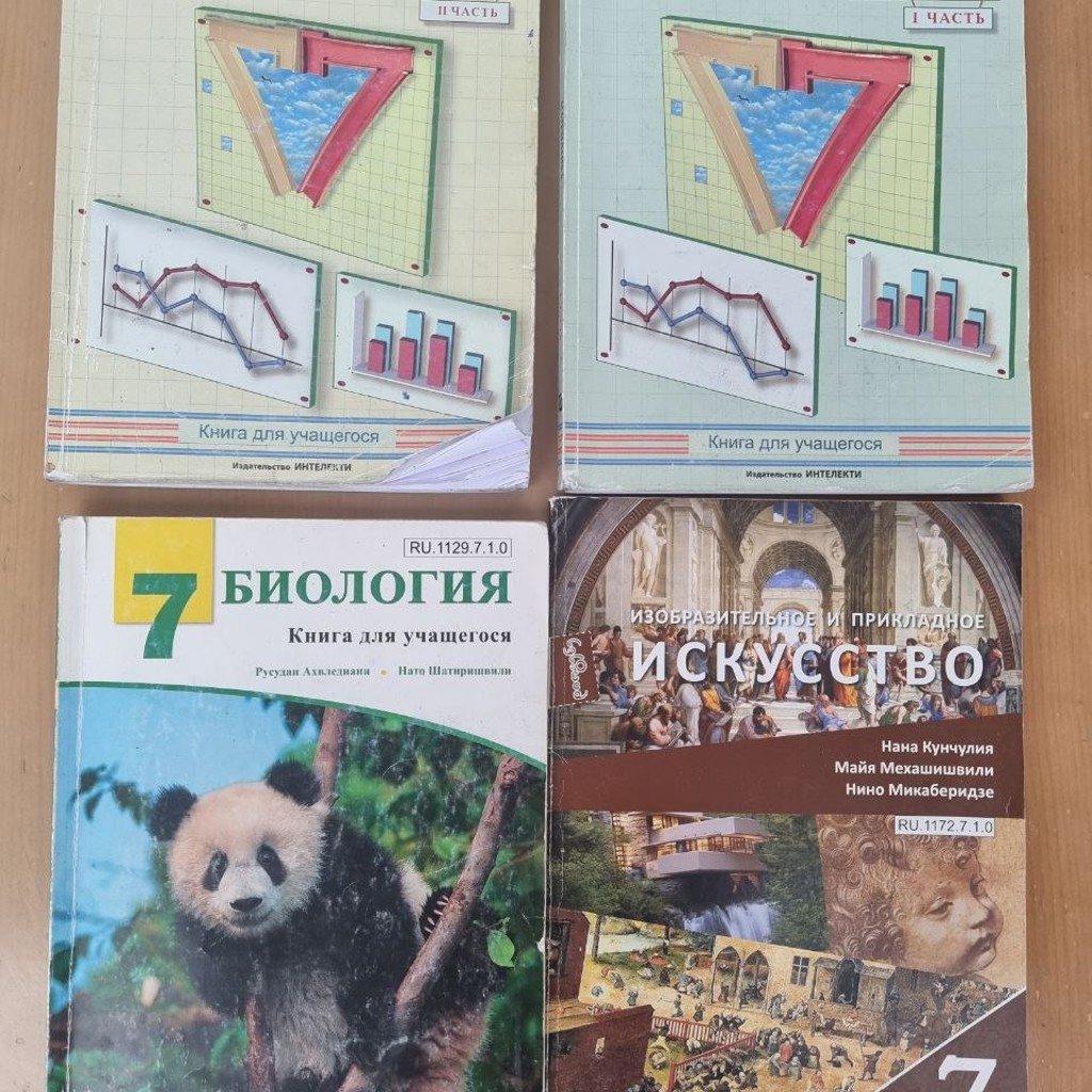Книги 7 класс русский язык