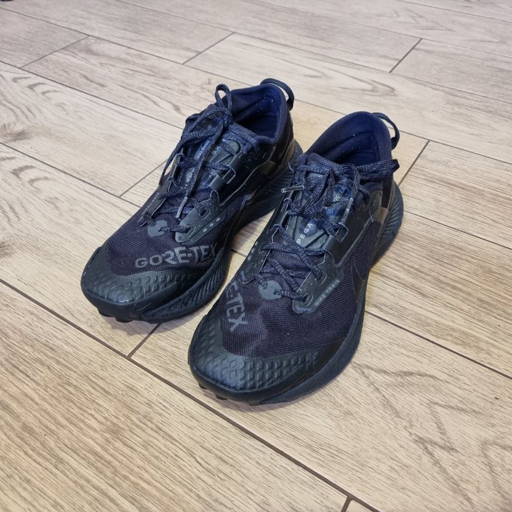 Кроссовки Nike Pegasus Trail 5 GORE-TEX