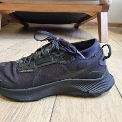 Кроссовки Nike Pegasus Trail 5 GORE-TEX - фото 2
