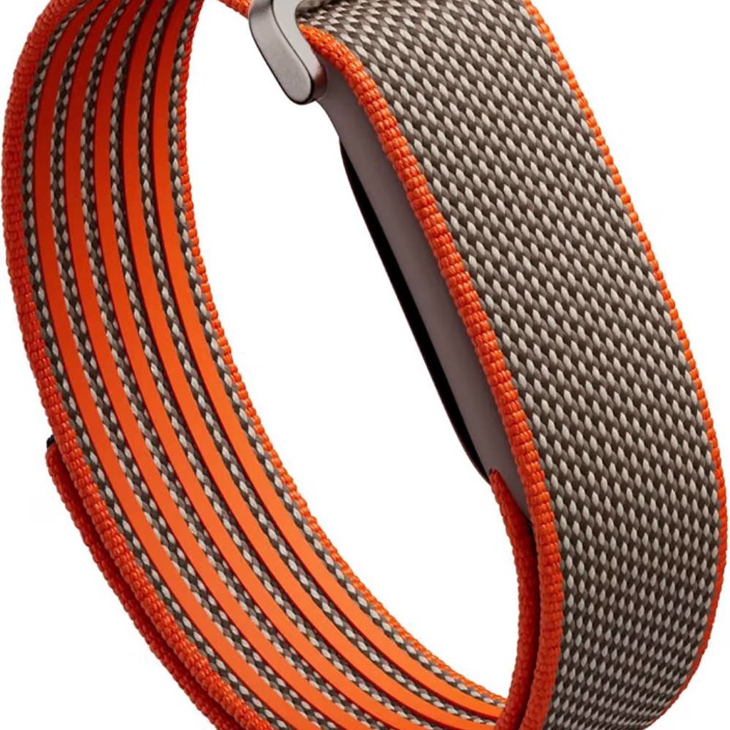 Fitbit Air