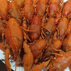 Свежие живые раки - фото 2