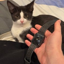 Apple Watch Nike SE 44 мм - фото 2