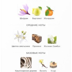 Духи Nishane Tempfluo - фото 3