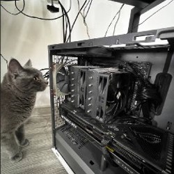 ASUS ROG Strix RTX 4070 Ti OC - фото 3