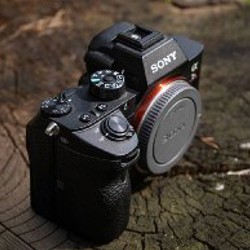 SONY A7riii - фото 2
