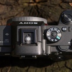 SONY A7riii - фото 3