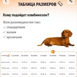 Комбинезон флисовый для собак - фото 4