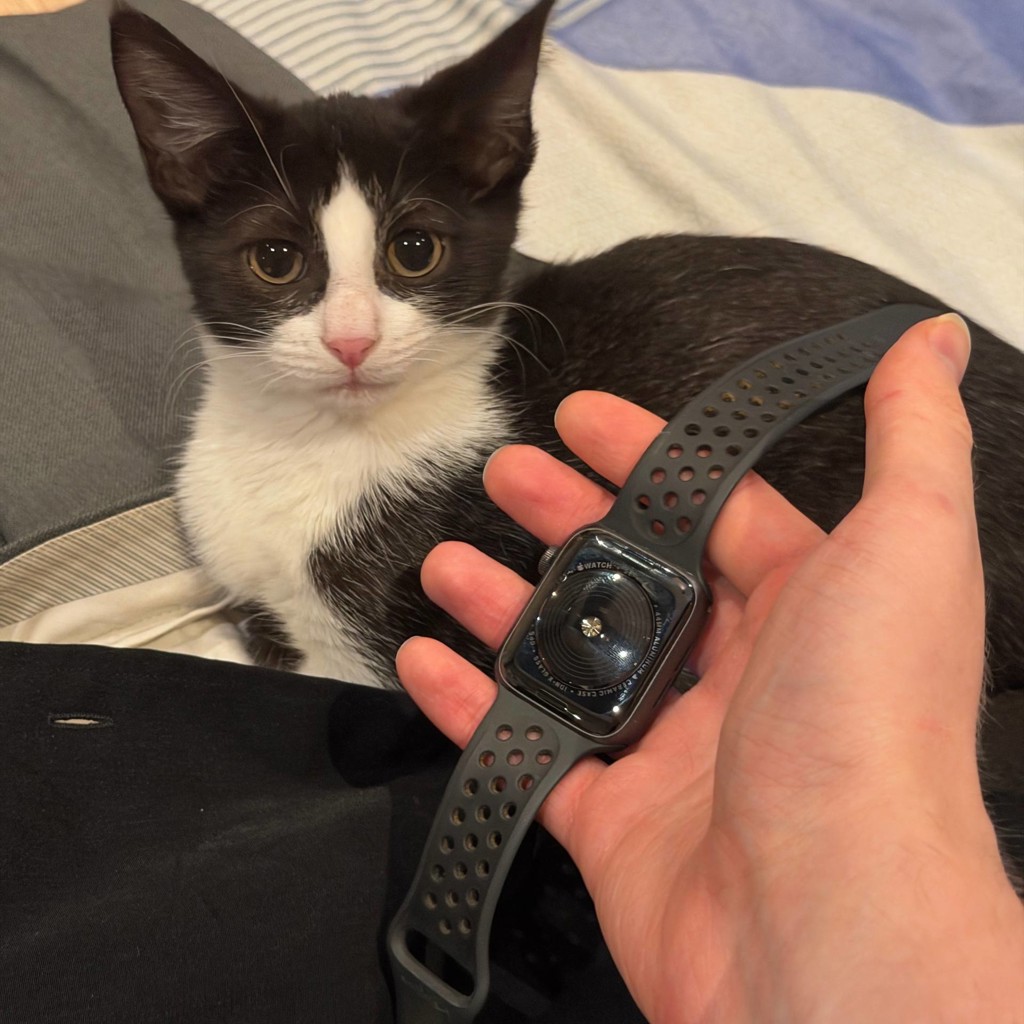 Apple Watch Nike SE