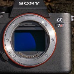 SONY A7riii - фото 6
