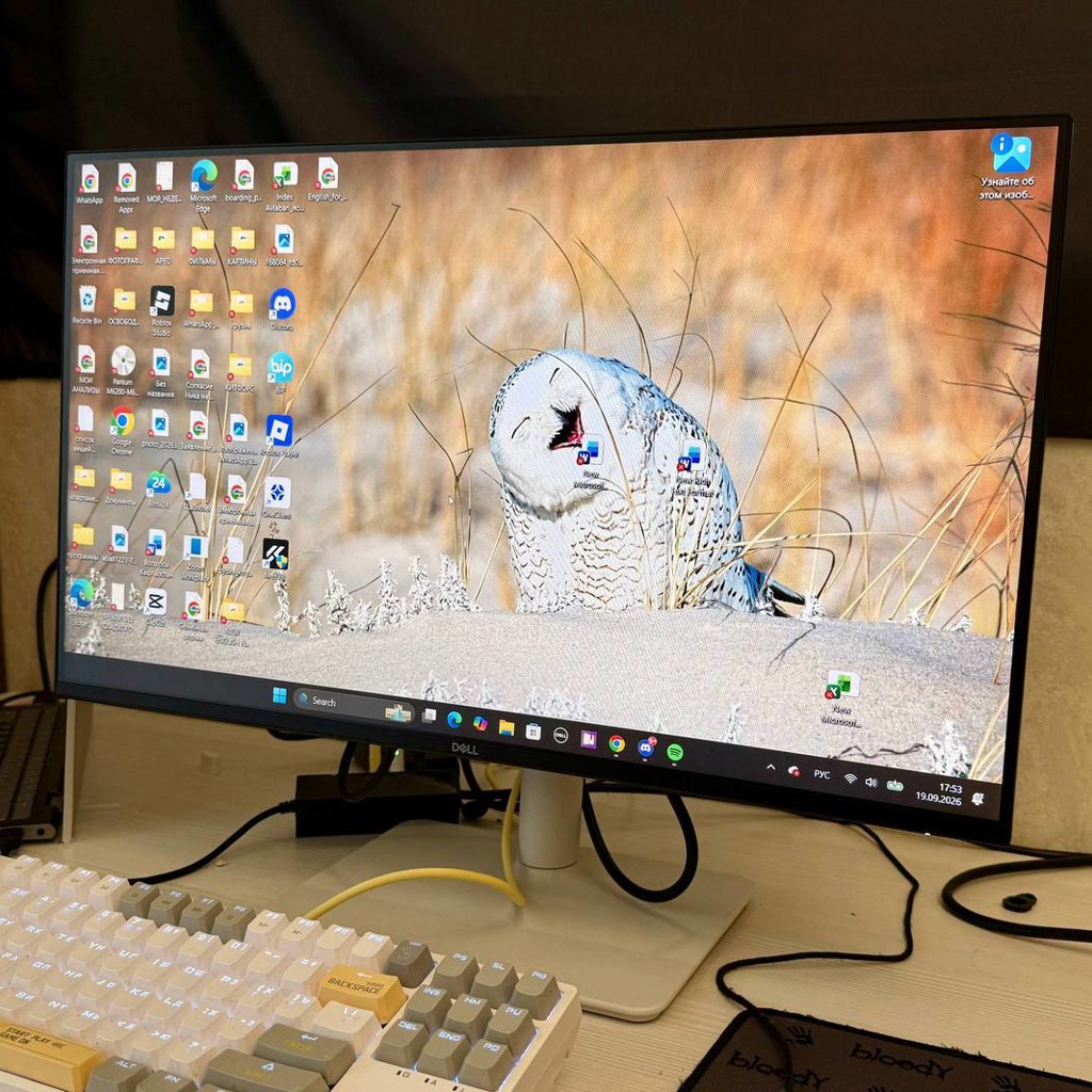 Монитор DELL Plus S2425HSM 24' IPS FHD White