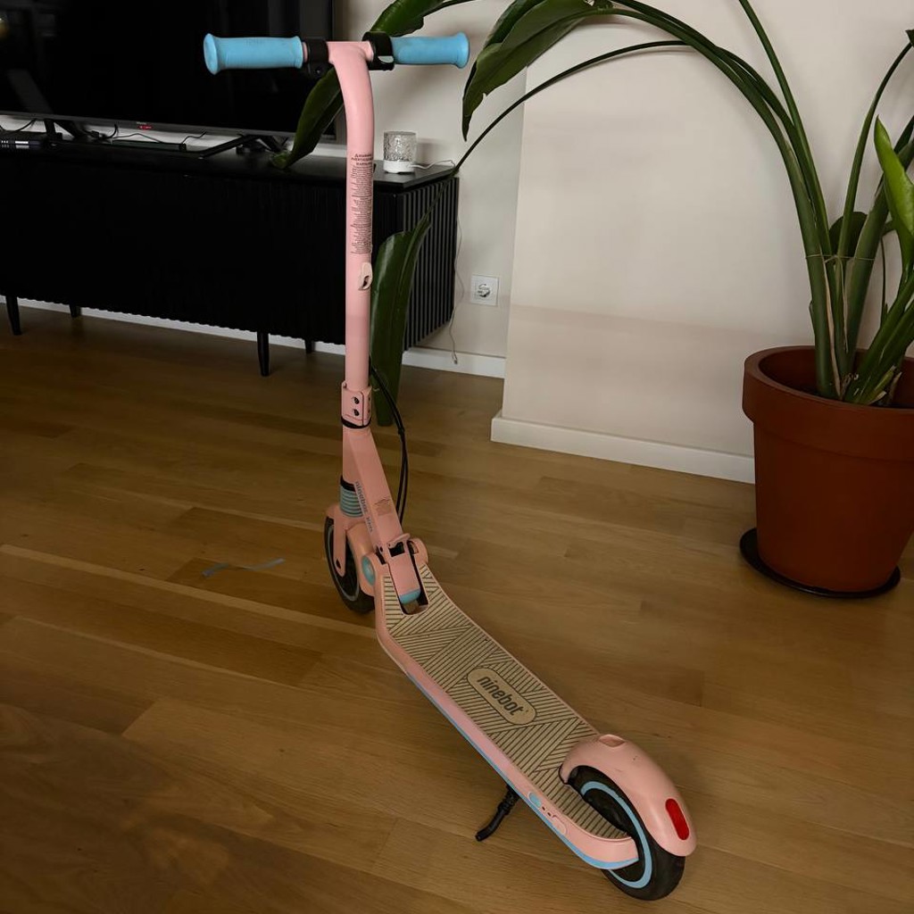 Электросамокат Ninebot ZING E8