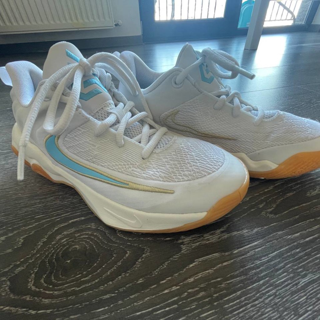 Кроссовки Nike Giannis Immortality 4