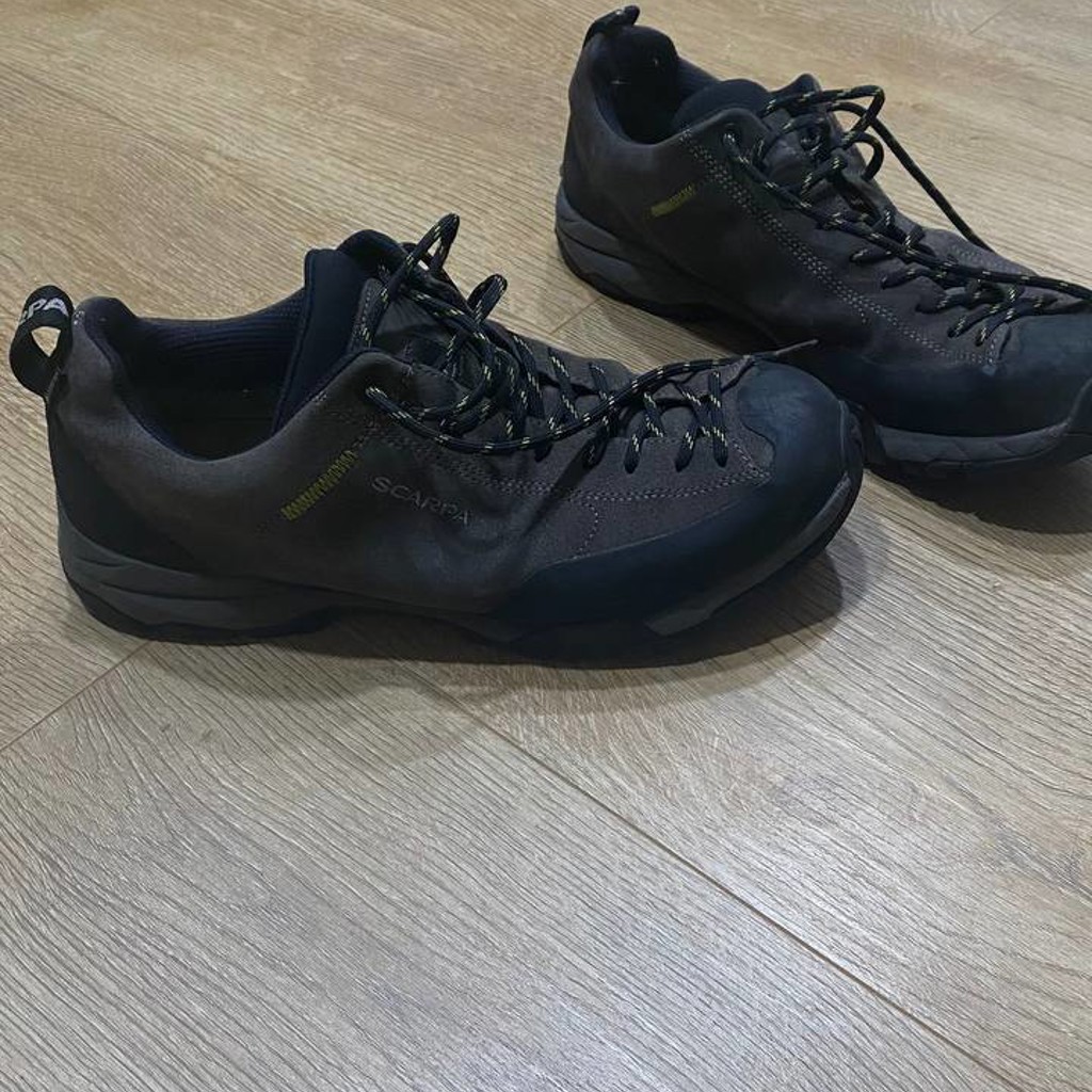 Мужские ботинки Scarpa Mojito Trail GTX