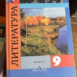 Русский язык за 8 класс - фото 2