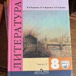 Русский язык за 8 класс - фото 7