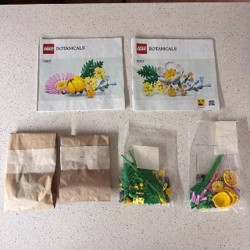 LEGO BOTANICALS - фото 2