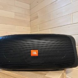 JBL BassPro Go - фото 4