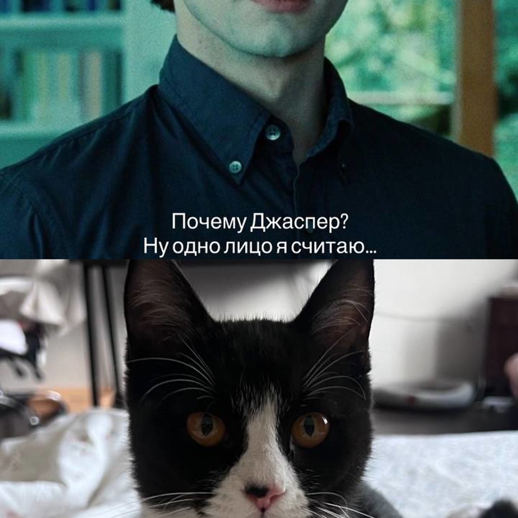 Джаспер