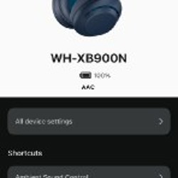 Наушники Sony WH-XB900N - фото 3