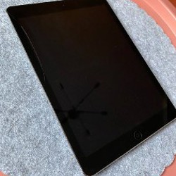 Apple iPad Air - фото 2