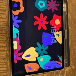IPad Pro 11 - фото 2