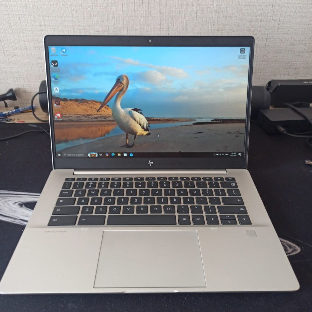 Ноутбук HP Elite c645 G2
