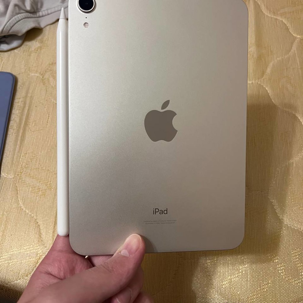 IPad mini 6
