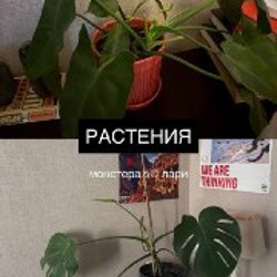 Подставка для духов/косметики - фото 5